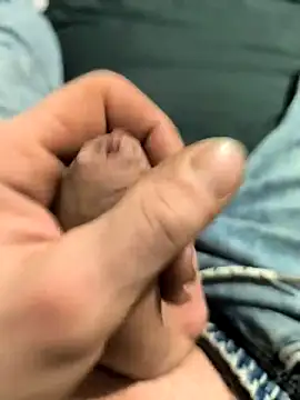 Snapshot of zubr20 chatting on October 24, 2025, 3:33 pm zubr20 online show from October 24, 2025, 3:33 pm