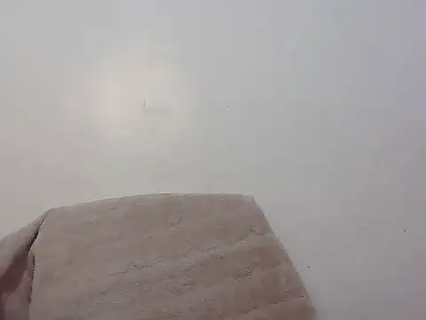 Snapshot of wild_amber25 chatting on November 29, 2025, 8:14 am wild amber25 online show from November 29, 2025, 8:14 am