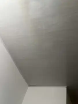 Juliana News online show from November 19, 2025, 4:51 pm