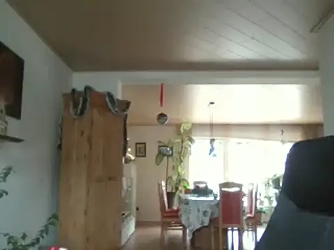 Snapshot of Nobbie444 chatting on December 14, 2025, 11:38 am Nobbie444 online show from December 14, 2025, 11:38 am