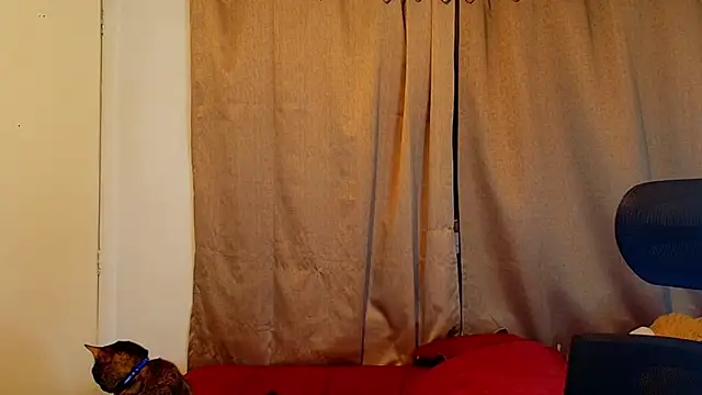 jimmy class online show from October 16, 2025, 12:30 am