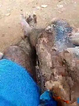 Snapshot of Royalk2030 chatting on February 28, 2026, 6:35 am Royalk2030 online show from February 28, 2026, 6:35 am