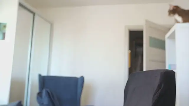 Snapshot of kevin-park chatting on February 14, 2026, 8:14 am kevin-park online show from February 14, 2026, 8:14 am