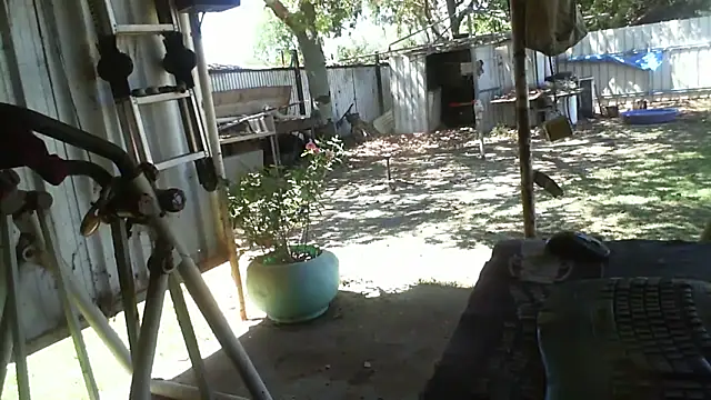 herbie010666 online show from October 30, 2025, 3:49 am