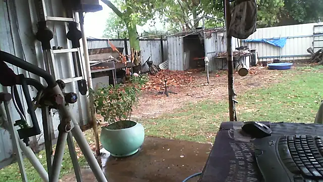 herbie010666 online show from November 13, 2025, 4:05 am