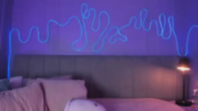 Sofly s online show from February 11, 2026, 1:55 pm