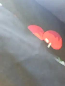 NansyyyaLiannkkaasssssa78 online show from September 11, 2025, 8:14 am