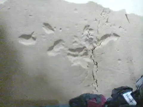 MarsWood online show from October 16, 2025, 10:12 am