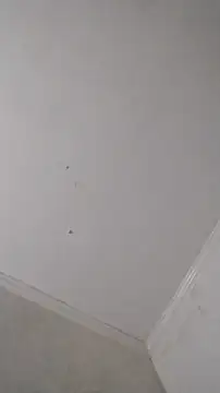 Snapshot of 247Srokin chatting on October 25, 2025, 9:08 am 247Srokin online show from October 25, 2025, 9:08 am