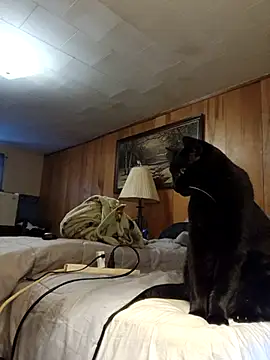 Snapshot of OralDesires2 chatting on December 19, 2025, 8:55 pm OralDesires2 online show from December 19, 2025, 8:55 pm