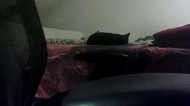 Snapshot of OralDesires2 chatting on February 19, 2025, 11:46 pm OralDesires2 online show from February 19, 2025, 11:46 pm