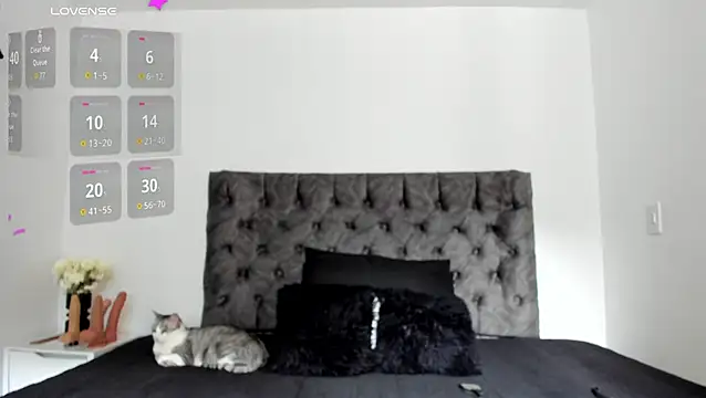 Snapshot of sweet__wild chatting on February 10, 2026, 8:19 pm sweet wild online show from February 10, 2026, 8:19 pm