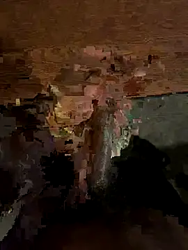 Snapshot of dingoding chatting on October 8, 2025, 6:59 am dingoding online show from October 8, 2025, 6:59 am