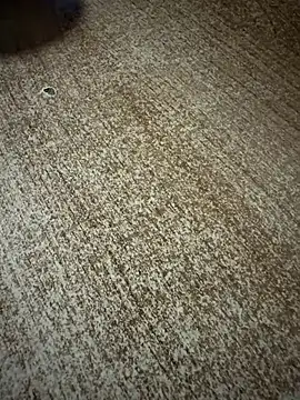 gokhanbey34 online show from January 9, 2026, 12:28 am