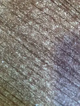 Snapshot of gokhanbey34 chatting on October 12, 2025, 7:43 am gokhanbey34 online show from October 12, 2025, 7:43 am