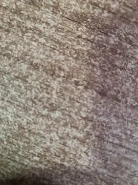 Snapshot of gokhanbey34 chatting on October 8, 2025, 2:40 pm gokhanbey34 online show from October 8, 2025, 2:40 pm