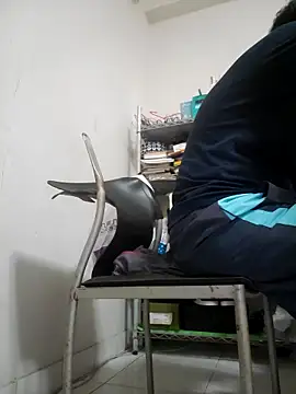 ksshp9502 online show from November 4, 2025, 3:38 pm