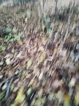 Eln1no69 online show from October 21, 2025, 2:27 pm