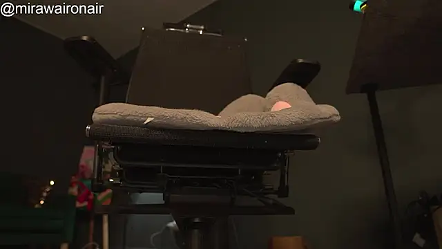 Snapshot of mirawair chatting on February 20, 2026, 3:03 pm mirawair online show from February 20, 2026, 3:03 pm