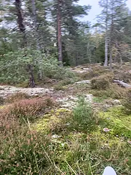 Andreashow online show from September 26, 2025, 3:30 pm