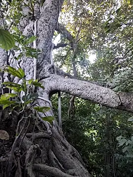 Snapshot of Rinku5553 chatting on November 7, 2025, 2:38 am Rinku5553 online show from November 7, 2025, 2:38 am