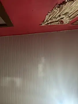 pimenta gaby online show from March 8, 2026, 2:42 pm