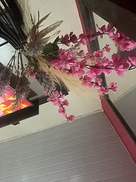 Snapshot of pimenta_gaby chatting on June 4, 2026, 4:11 pm pimenta gaby online show from June 4, 2026, 4:11 pm