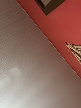 Snapshot of pimenta_gaby chatting on December 3, 2025, 11:20 am pimenta gaby online show from December 3, 2025, 11:20 am