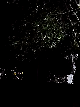 Yuky ta online show from March 3, 2025, 12:01 am