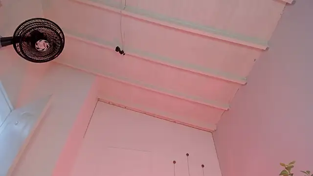 swt-booty online show from November 19, 2025, 6:52 pm