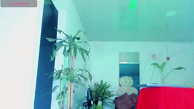 sophiaxxdoll online show from July 15, 2026, 5:36 am
