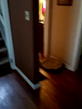 Armpitshaver online show from December 25, 2024, 3:28 pm