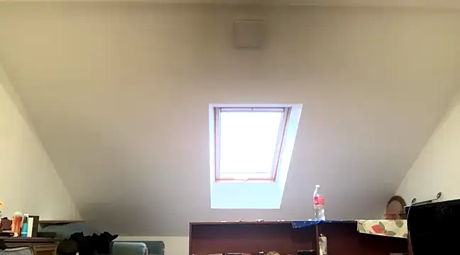 Snapshot of WildzMareNextLevel chatting on January 4, 2025, 6:52 am WildzMareNextLevel online show from January 4, 2025, 6:52 am