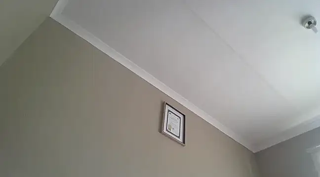 EbonySeductressx online show from March 20, 2025, 10:43 am