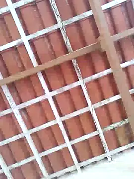 Snapshot of Peludo173317 chatting on March 11, 2025, 5:02 pm Peludo173317 online show from March 11, 2025, 5:02 pm