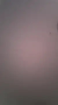 Snapshot of Maxmusterman20023 chatting on January 18, 2025, 1:41 am Maxmusterman20023 online show from January 18, 2025, 1:41 am