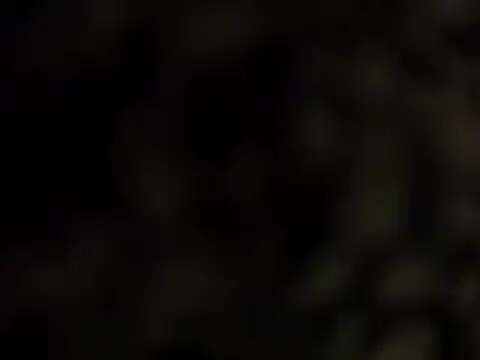 DarkHorse89 online show from September 9, 2025, 2:37 pm