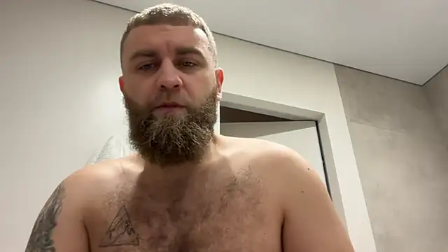 Bear bear  online show from November 7, 2025, 9:03 am