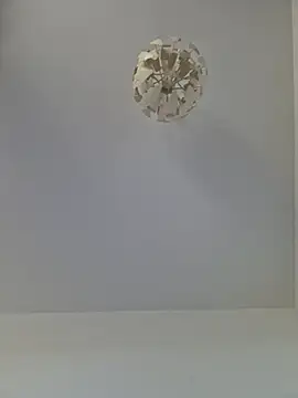 Snapshot of cuci45 chatting on November 1, 2025, 10:31 am cuci45 online show from November 1, 2025, 10:31 am