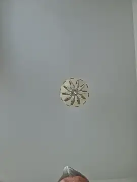 Snapshot of cuci45 chatting on October 3, 2025, 2:18 pm cuci45 online show from October 3, 2025, 2:18 pm