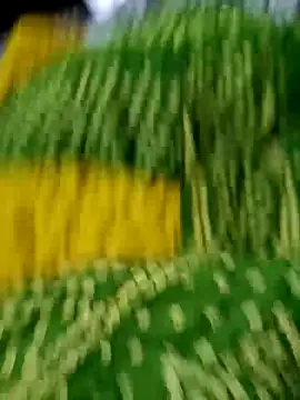 Snapshot of wrong_man25 chatting on February 24, 2025, 9:09 pm wrong man25 online show from February 24, 2025, 9:09 pm