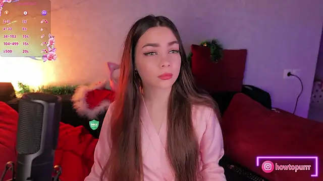 Snapshot of How2Meow chatting on January 2, 2025, 5:07 pm How2Meow online show from January 2, 2025, 5:07 pm