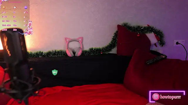 Snapshot of How2Meow chatting on January 12, 2025, 5:44 pm How2Meow online show from January 12, 2025, 5:44 pm