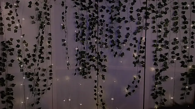 Snapshot of risha_laas chatting on September 26, 2025, 8:16 pm risha laas online show from September 26, 2025, 8:16 pm