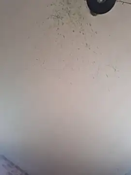 milerr1998 online show from April 3, 2026, 4:35 pm