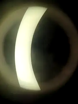 HotWifeNisha online show from December 21, 2024, 8:54 pm