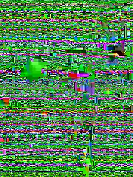 Snapshot of eva_six chatting on December 20, 2024, 6:45 pm eva six online show from December 20, 2024, 6:45 pm