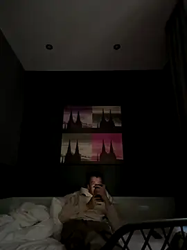 Snapshot of Toyjungee chatting on December 15, 2025, 8:31 am Toyjungee online show from December 15, 2025, 8:31 am