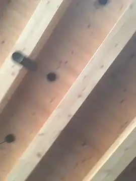 Fellix online show from December 11, 2024, 11:30 am