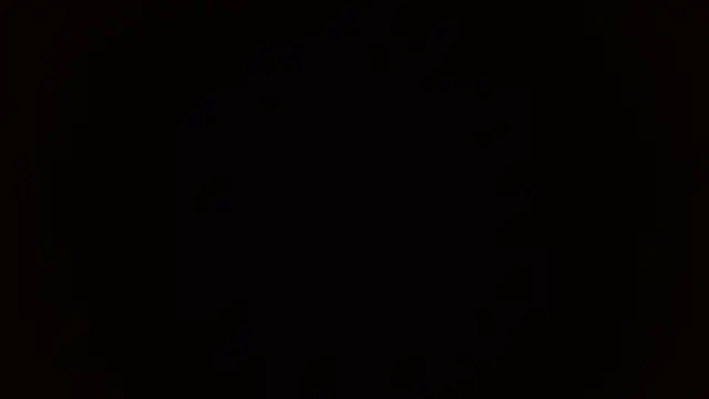 Dakota bumm online show from February 3, 2026, 6:46 pm